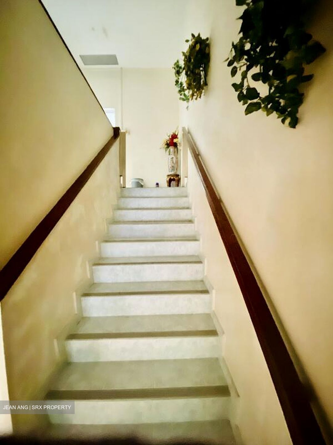 Mount Sinai (D10), Terrace #498815131